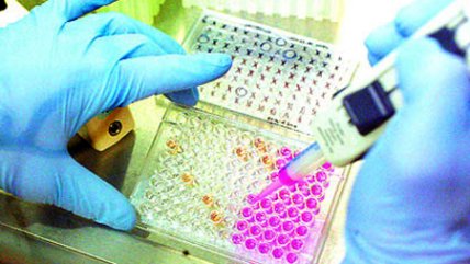 Francisco Barriga: Las células madre en Chile están salvando muchas vidas