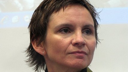 Tohá y apoyo a marcha gay: No es una novedad política para el PPD