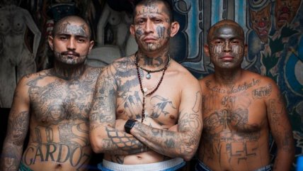   Reportero retrató a integrantes de la pandilla más peligrosa de Centroamérica 
