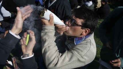   Este sábado se realizó marcha por el derecho a cultivar marihuana 