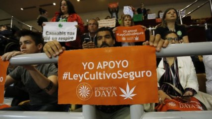   Manifestantes a favor de proyecto Cultivo Seguro asisten a su discusión en el Congreso 