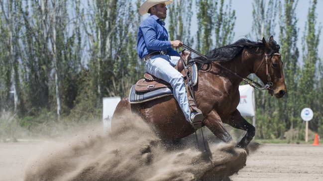  Olmedo ganó prueba de Rienda en Campeonato Ecuestre Criadero Los Cóndores  