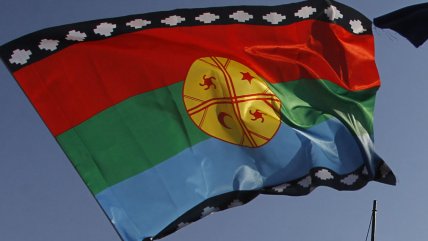   Solitario hombre levantó la bandera mapuche frente a comitiva de Piñera en Nueva Zelanda 