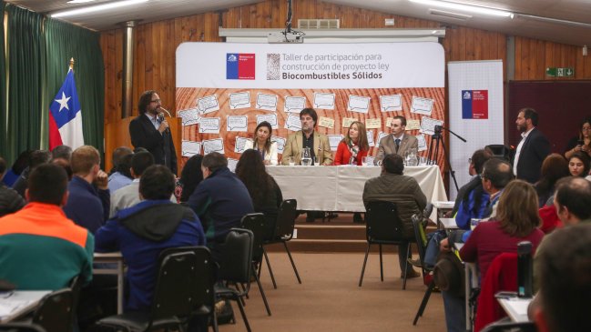  Leñeros ayseninos ven poca viabilidad de ley de biocombustibles sólidos  