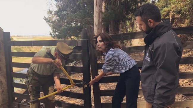  Informe establece que acceso a Playa Mónaco debe ser vehícular  