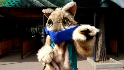   Minvu anunció la reapertura del Zoológico Nacional y el Buin Zoo 