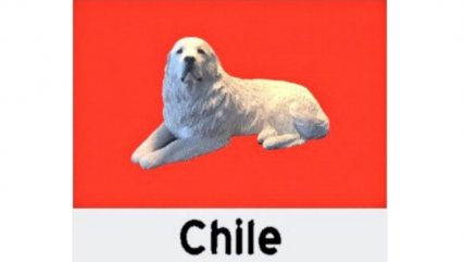  Inteligencia artificial creó banderas y la de Chile es un tierno perrito 