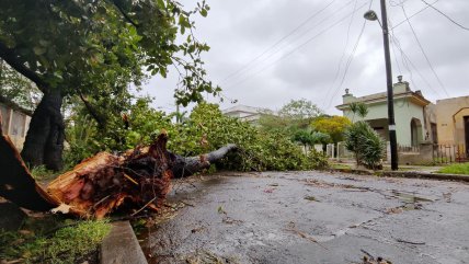   Cuba, el día después del paso del Huracán Ian 