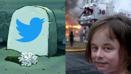  #RIPTwitter: Musk se sumó a memes por presunto fin de la red social  