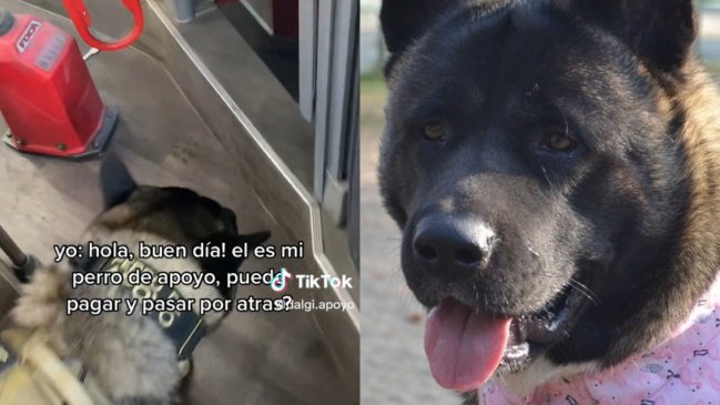  Mujer no pudo subir a micro con su perro de apoyo emocional  