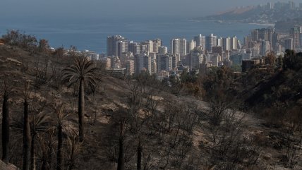  Incendio en Viña: Minvu evaluará terrenos para la reconstrucción desde este miércoles  