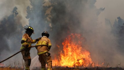   Bomberos, brigadistas y vecinos continúan intentando apagar los incendios en la zona centro sur 