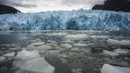  Glaciólogo: 