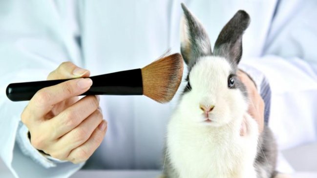  Canadá prohibió el uso de animales para probar productos cosméticos  