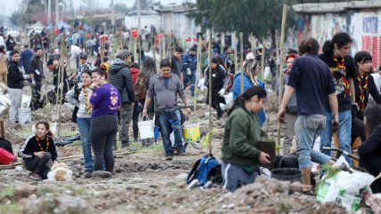  Más de 300 árboles fueron plantados en memorial de Víctor Jara en Lo Espejo  