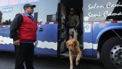  Intensas fiscalizaciones en los terminales de buses en la previa del fin de semana largo  