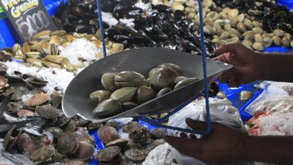  Pescadores de Chiloé se preparan ante la probabilidad de que haya marea roja  