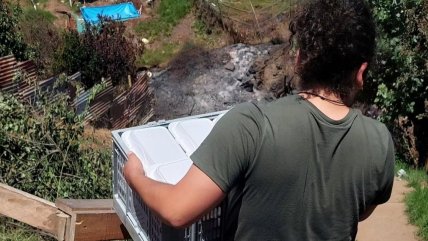   Creando Redes Solidarias: La fundación que alimenta a damnificados por los incendios 