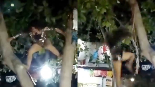   Doble de Gloria Trevi se accidentó tras trepar un árbol en pleno show: 