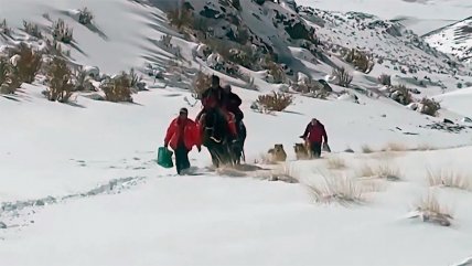   Rescatan a adultos mayores tras cuatro días atrapados en la cordillera 