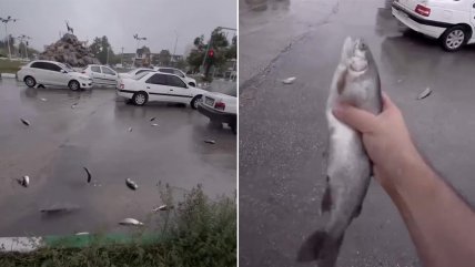   ¡De película! Lluvia de peces sorprende a habitantes de Irán 