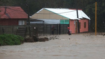  Consejos para evitar hongos y bacterias en casas afectadas por las inundaciones  