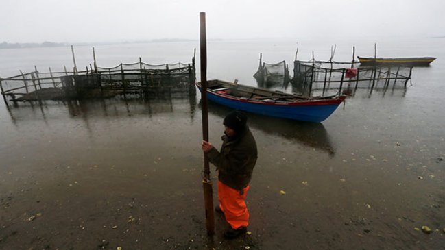   Subsecretario de Pesca: El copy-paste era un traje a la medida de la industria 