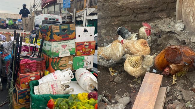   Barbería del barrio Franklin acopiaba clandestinamente alimentos callejeros y animales 