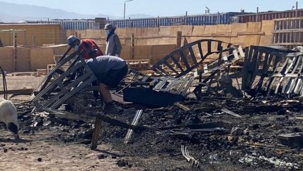   Calama: Así quedó el refugio para perros tras voraz incendio 