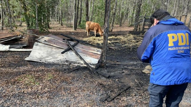  Ataque incendiario consumió por completo un galpón en Angol  