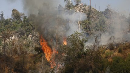   Incendio forestal en Colina consume al menos 20 hectáreas 