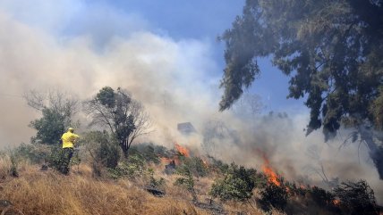   Cerro San Cristóbal: Brigadas combaten incendio forestal por tierra y aire 