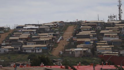   Dirigenta de la megatoma de San Antonio: 