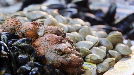   Viernes Santo en Quellón: Pescadores celebran alta demanda de productos marinos 