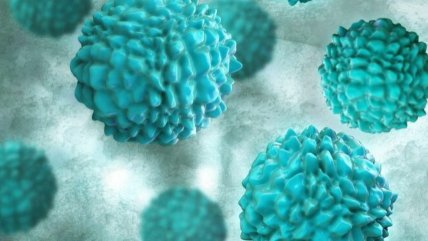   Una vacuna oral contra el norovirus da resultados positivos en un ensayo clínico de fase 2 