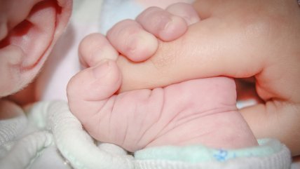   Estadística confirma la caída de los nacimientos en 2024 