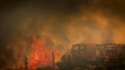  Portugal se encuentra en estado de alerta por incendios forestales simultáneos 
