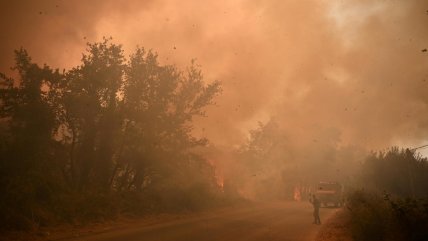 El fuego ha arrasado 10.000 hectáreas en Grecia en los últimos dos días El fuego ha arrasado 10.000 hectáreas en Grecia en los últimos dos días