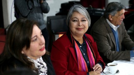   Timonel PS: Sentido político de dichos de Carmona no es apoyar a la candidata 