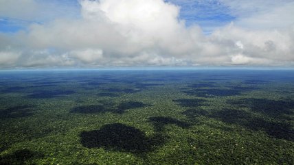 Brasil: ONU alerta de prácticas de esclavitud vinculadas a la destrucción de la Amazonía Brasil: ONU alerta de prácticas de esclavitud vinculadas a la destrucción de la Amazonía