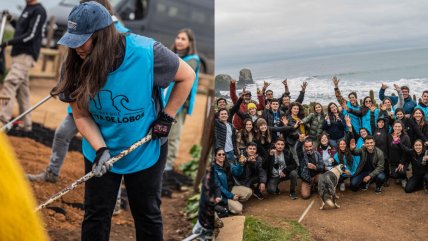   Cervecería AB InBev y Cerveza Corona impulsan plan de conservación en Parque Punta de Lobos 