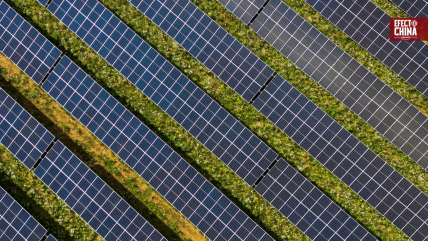   Parques solares en China, un modelo inspirado en su cosmovisión 