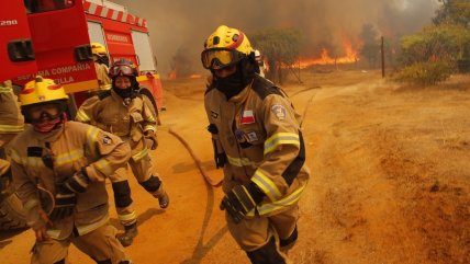  Un detenido y miles de hectáreas consumidas por incendios forestales en zona centro sur  