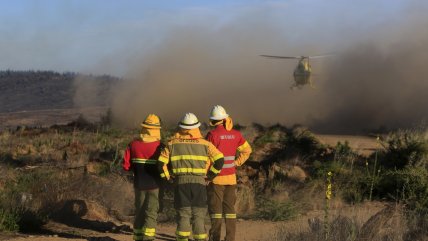   Incendio forestal en Cauquenes ha consumido más de 400 hectáreas 