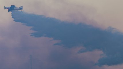   Fiscalía indaga origen de incendios forestales en la Región de Ñuble 