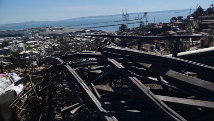  Joven voluntario tras incendios en Biobío falleció por virus hanta 