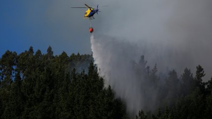 Incendio forestal mantiene a Limache y Concón bajo alerta roja bicomunal  