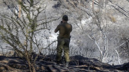  Incendio en Viña con riesgo de reactivación y cancelan alerta en Concón y Limache  