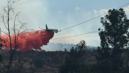  Incendio forestal consumió 30 hectáreas y dos casas en Melipilla  