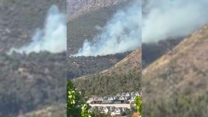   Peñalolén: Incendio forestal afecta a la Quebrada de Macul 
